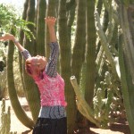 az cactus + coppe'
