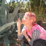 cactus kissie kissie