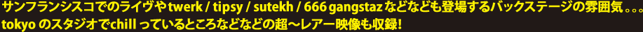 サンフランシスコでのライヴやtwerk / tipsy / sutekh / 666 gangstaz などなども登場するバックステージの雰囲気。。。 tokyo のスタジオでchill っているところなどなどの超～レアー映像も収録！